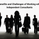 Independent Consultants